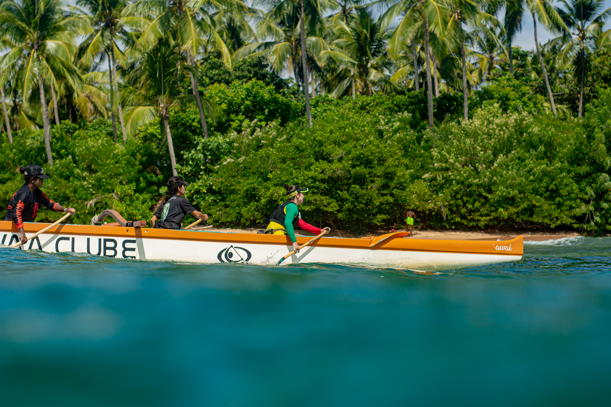 Tripulação remando canoa havaiana perto da praia, com coqueiros ao fundo