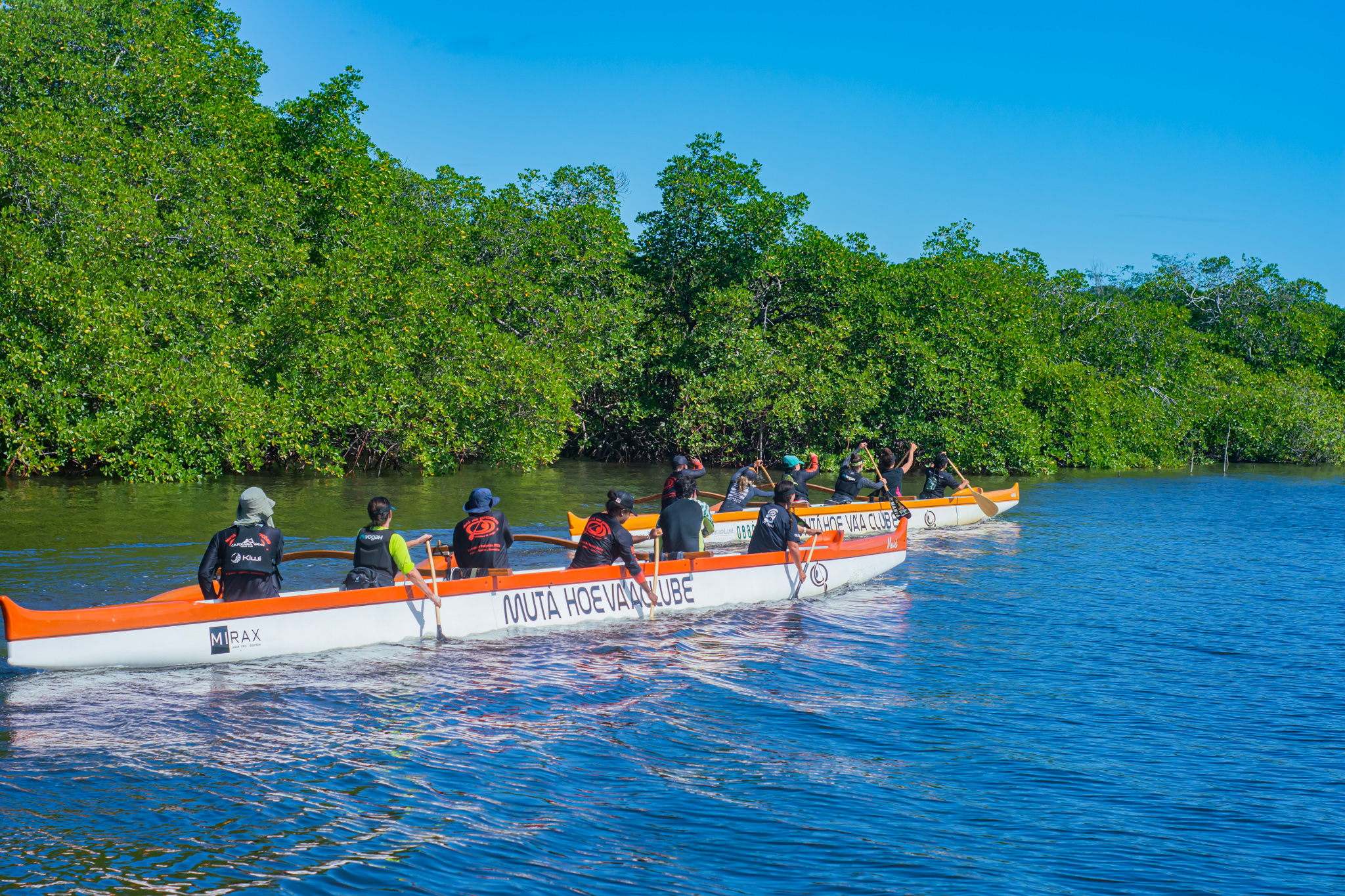 Tripulação remando de costas em frente ao mangue