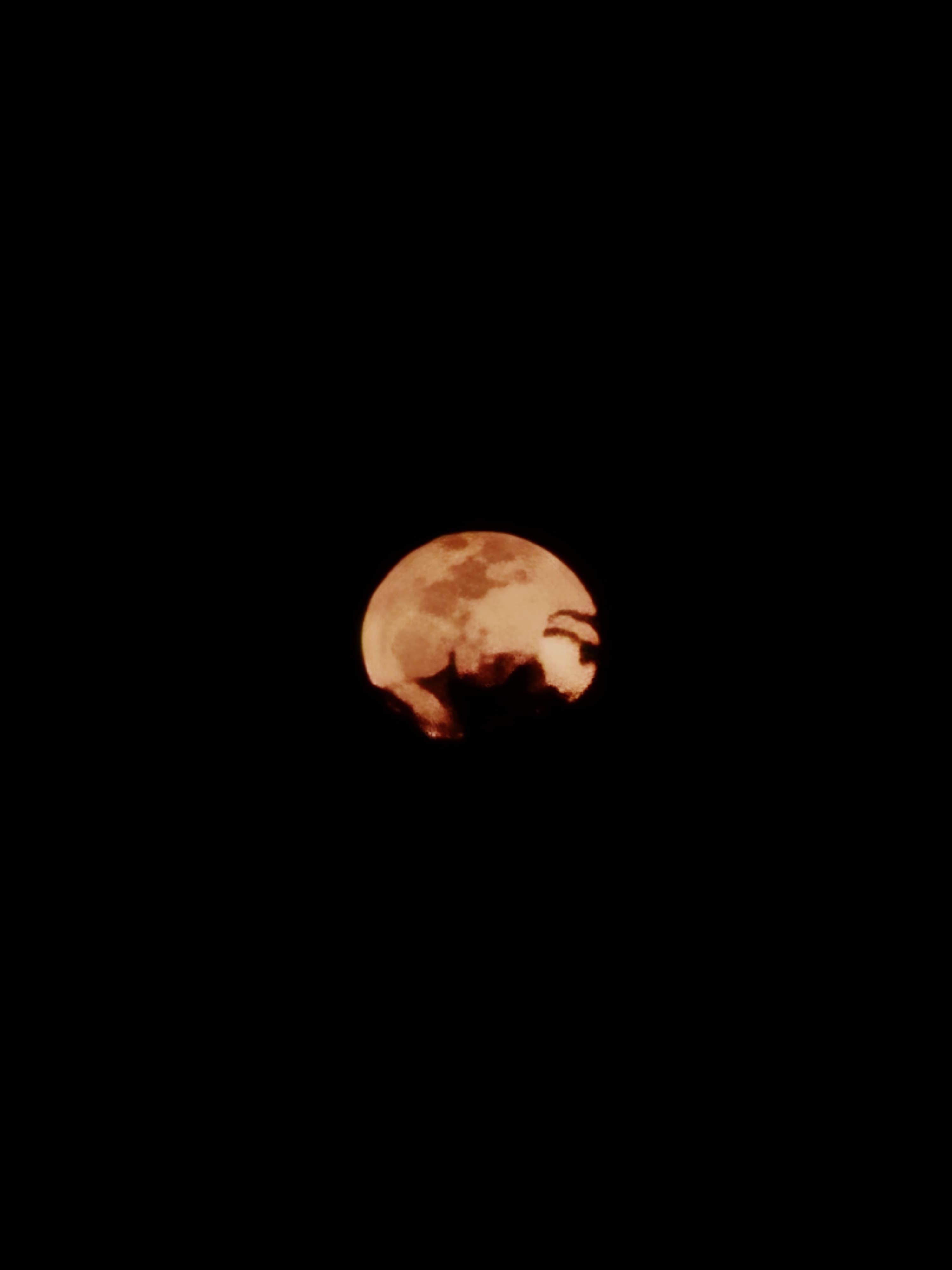 Lua cheia alaranjada subindo no céu noturno, vista durante o passeio