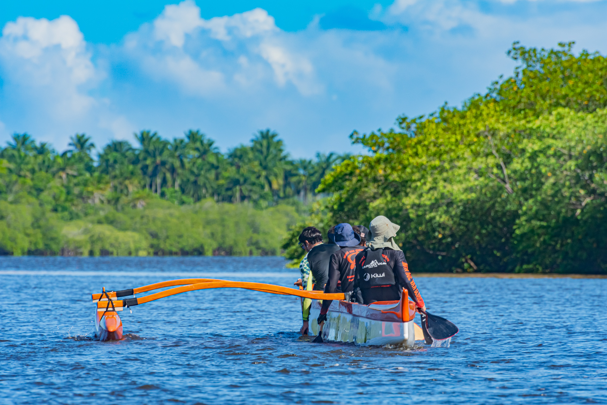 Tripulação remando pelo rio entre o mangue